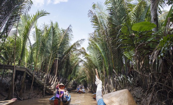 【ホーチミン】ミト メコン川クルーズ観光 +ココナッツ工場とハチミツ農園見学ツアー